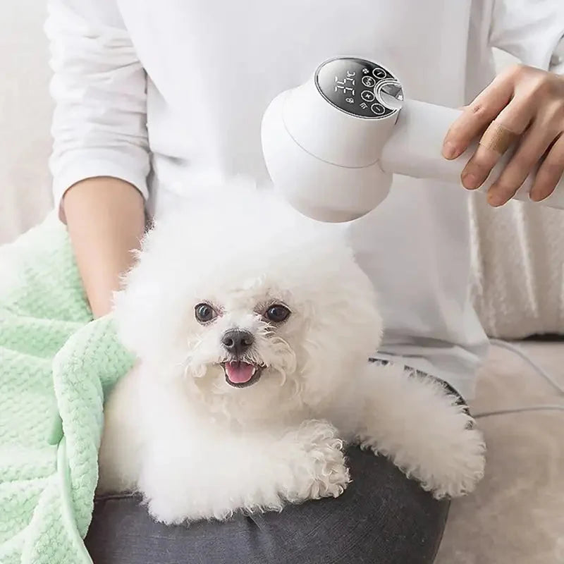 Dog Hair Dryer Integrated Brush Adjustable Temperature & Quiet Operation