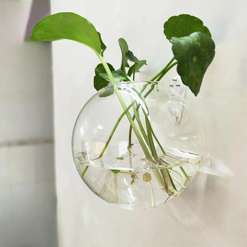 Wall Vase Drill-Free Waterproof Borosilicate Glass