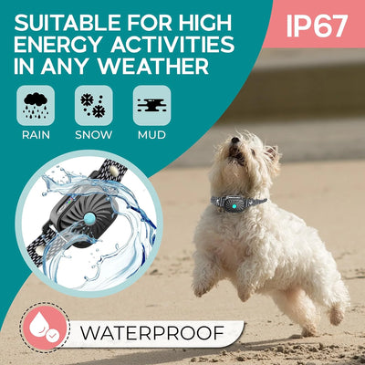 Anti-Bark Collar Sound & Vibration Microphone Detection