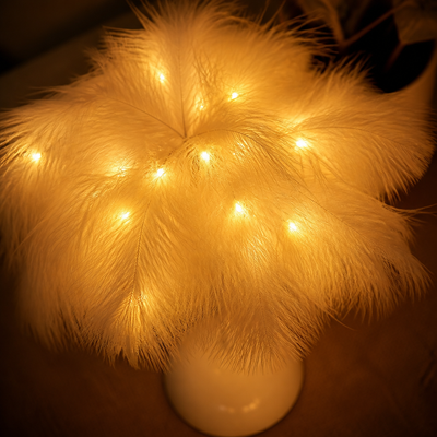 Boho Feather String Lights
