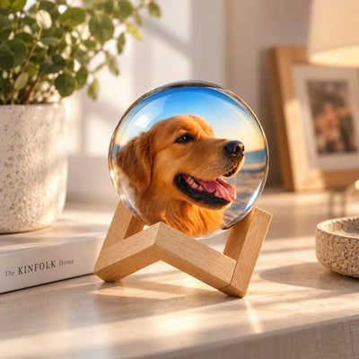 Digital Photo & Video Frame 2.75-Inch HD USB-C