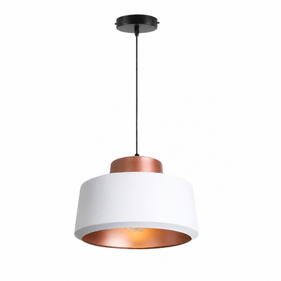 French Aluminum Branch Chandelier