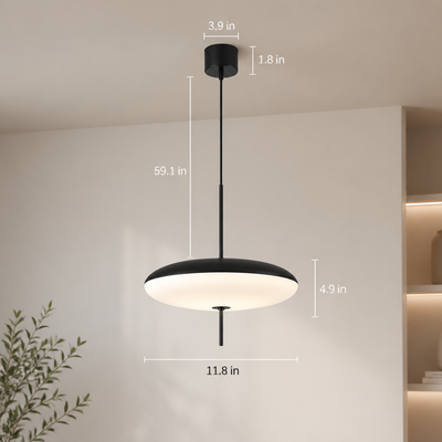 Industrial Iron Dome Pendant Light