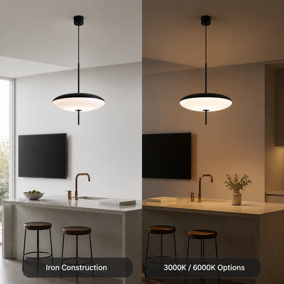 Industrial Iron LED Pendant Light