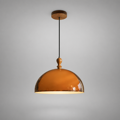 Industrial Metal LED Adjustable Arm Pendant Light