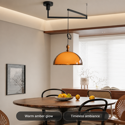 Industrial Metal LED Adjustable Arm Pendant Light