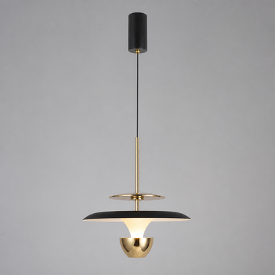 Minimalist Aluminum LED Adjustable Height Pendant Light