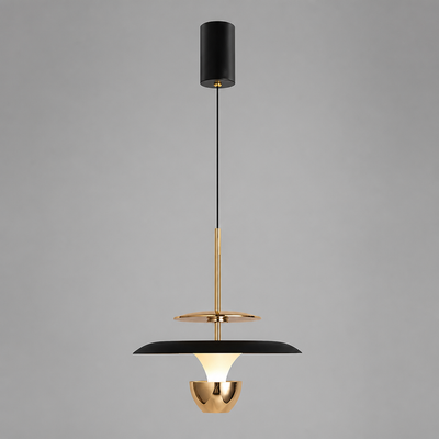 Minimalist Aluminum LED Adjustable Pendant Light