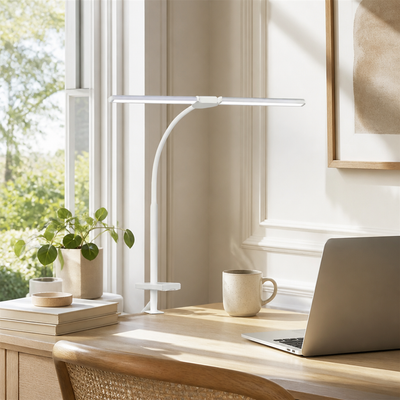 Minimalist LED Dual-Head Gooseneck Desk Lamp