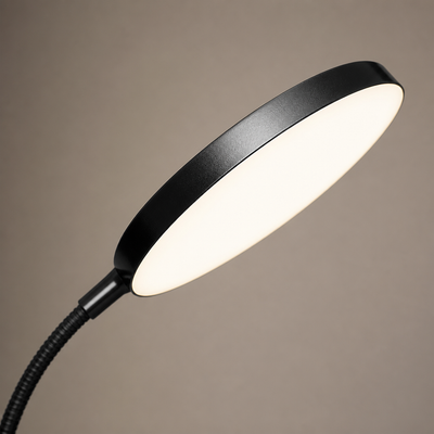 Minimalist LED Flexible Gooseneck Floor Lamp
