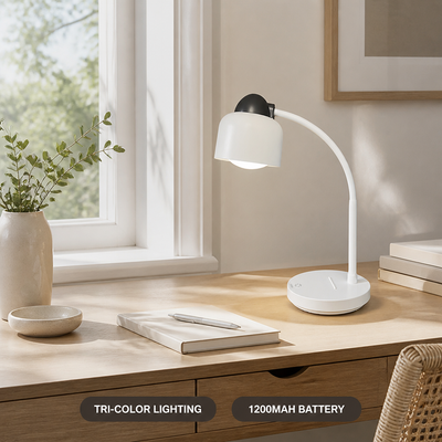 Minimalist LED Foldable Desk Lamp
