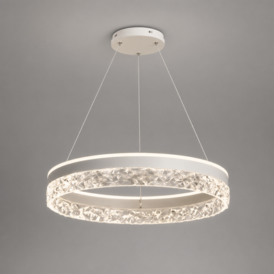 Modern Acrylic LED Adjustable Ceiling Light