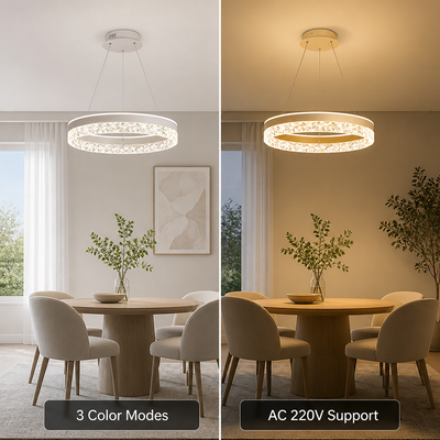 Modern Acrylic LED Adjustable Ceiling Light