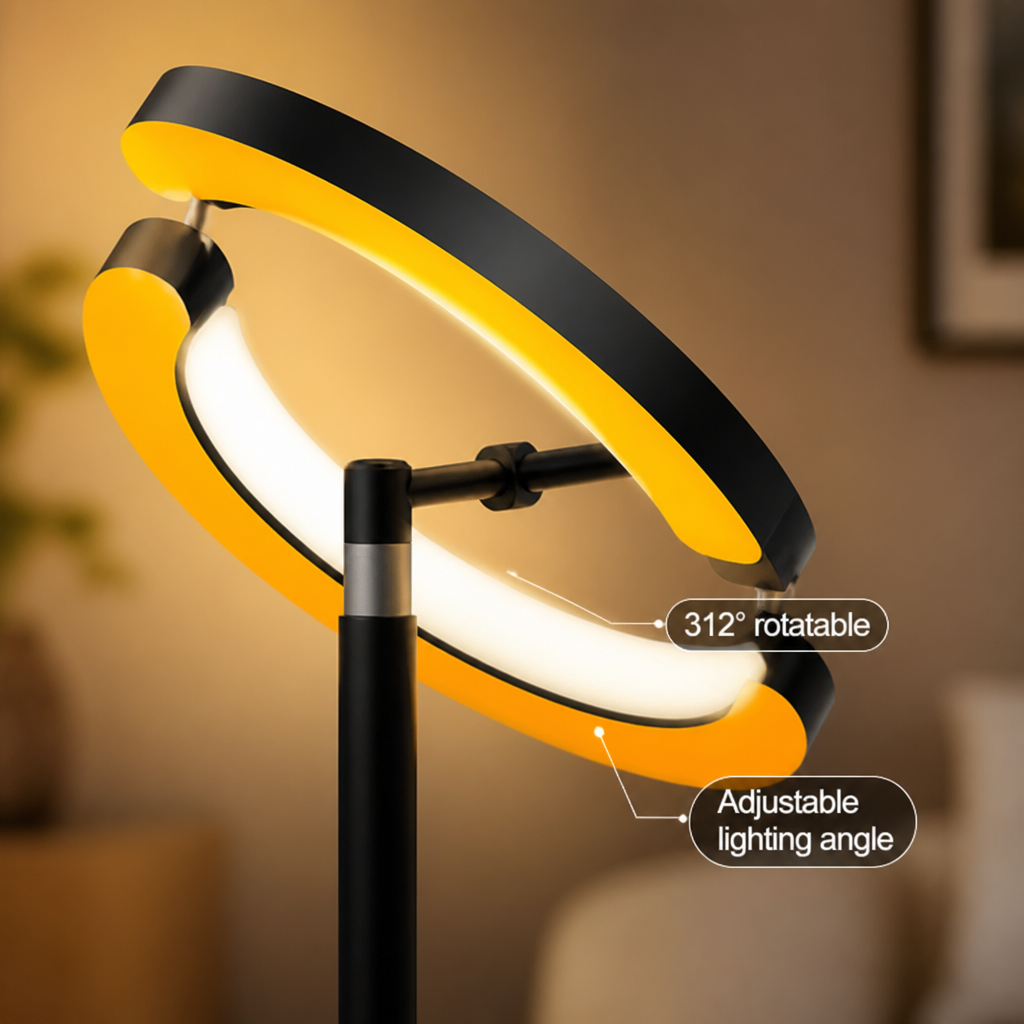 Modern Black LED Dual Ring Floor Lamp