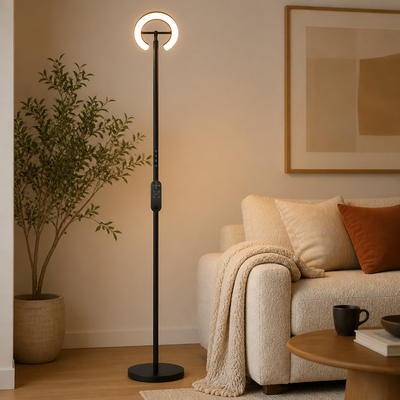 Modern Black LED Dual Ring Floor Lamp
