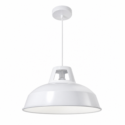 Modern Black & White Circular Pendant Light