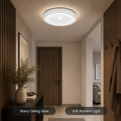 Modern Metal LED Starry Effect Ceiling Light