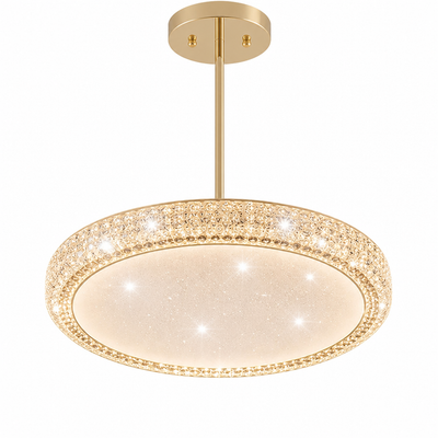 Modern Metal LED Starry Effect Ceiling Light