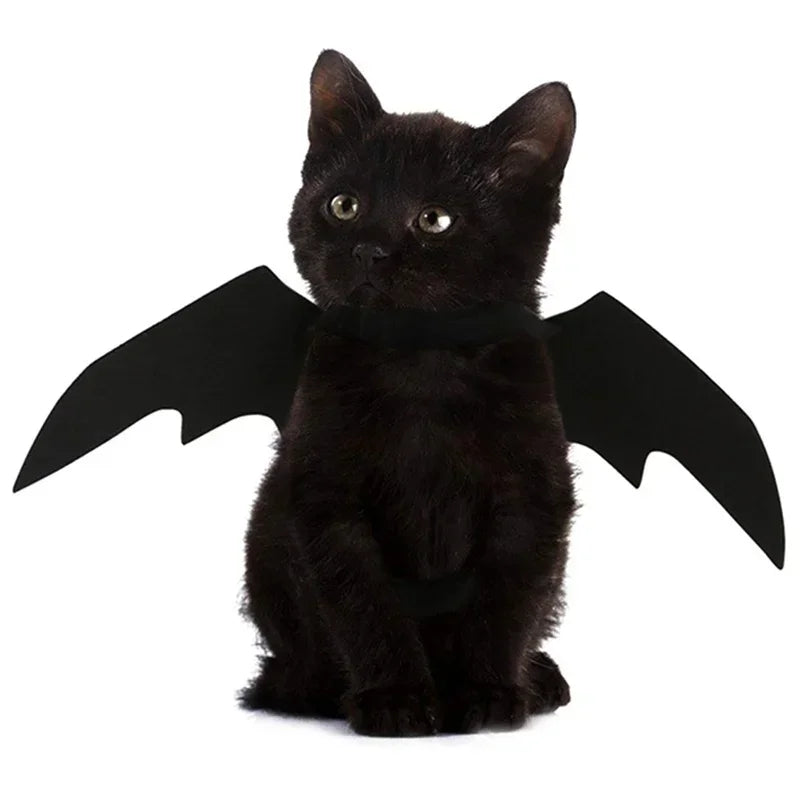 Pet Costume Bat Wings Adjustable Velcro & Lightweight Felt