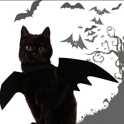 Pet Costume Bat Wings Adjustable Velcro & Lightweight Felt