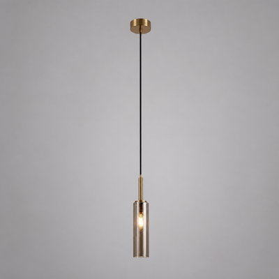 Scandinavian LED Metal Pendant Light