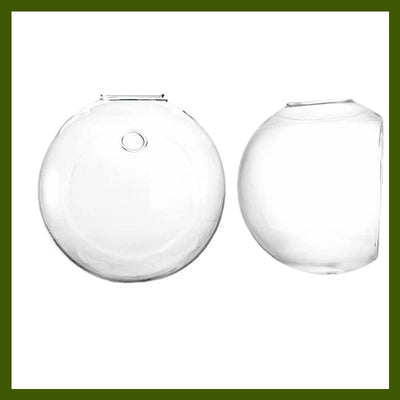 Wall Vase Drill-Free Mounting Borosilicate Glass