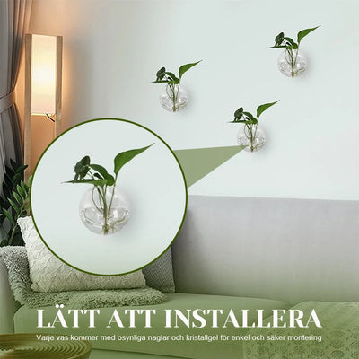 Wall Vase Drill-Free Waterproof Borosilicate Glass