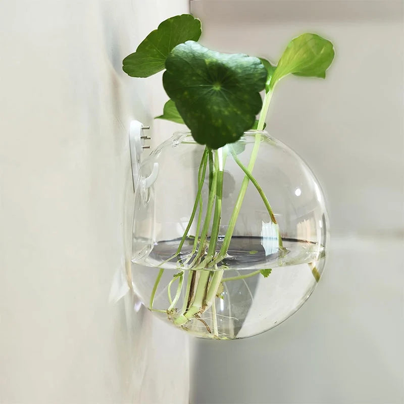 Wall Vase Drill-Free Waterproof Borosilicate Glass